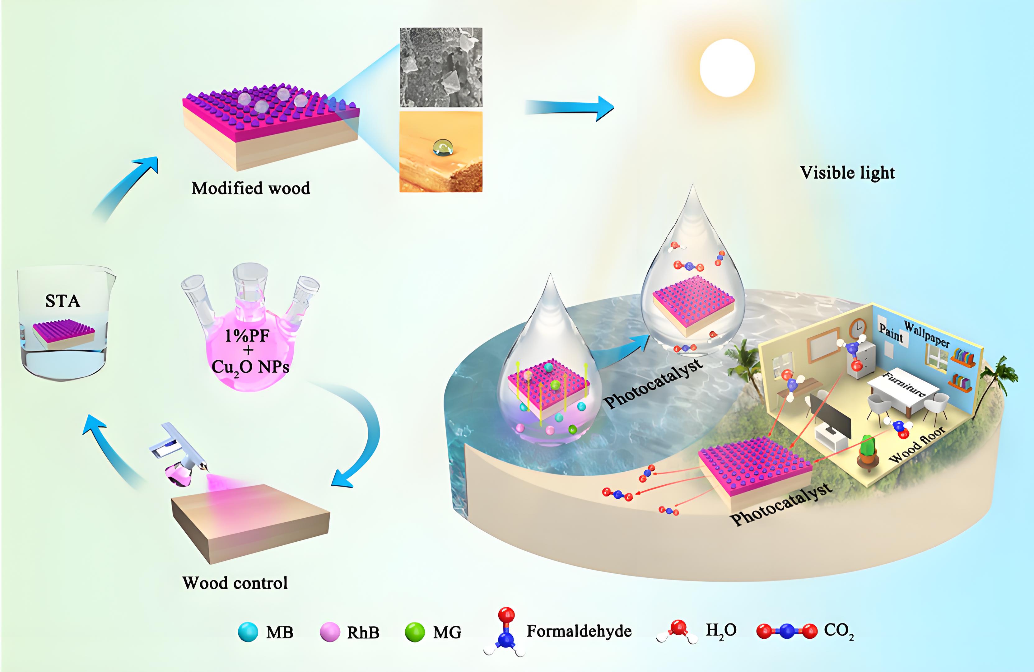 光降解和生物降解塑料袋區(qū)別？(圖1)
