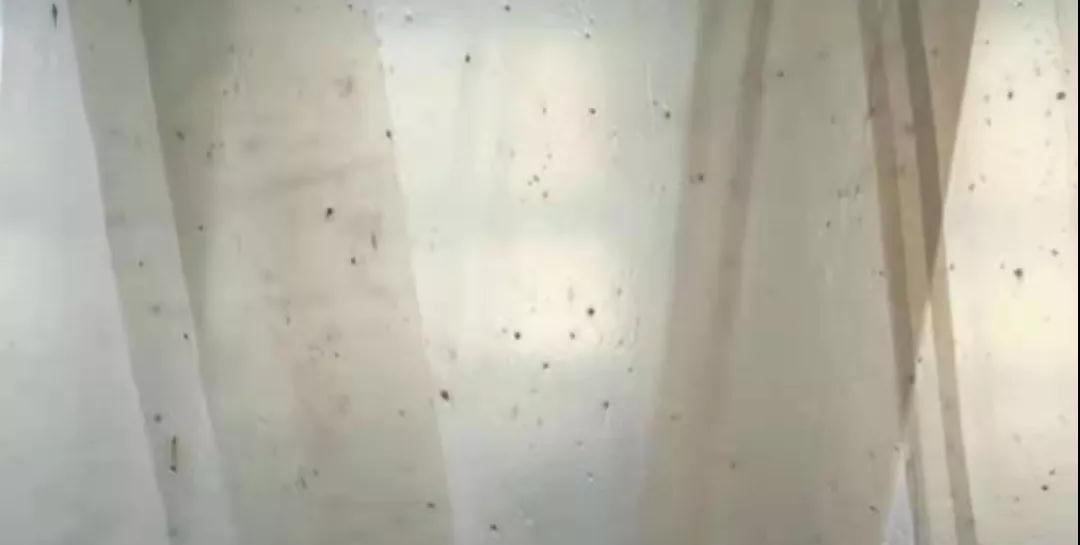 PBAT膜袋有黑點是什么原因？(圖1)